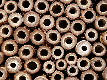 Wood cut texture (ID:ffabg63957)