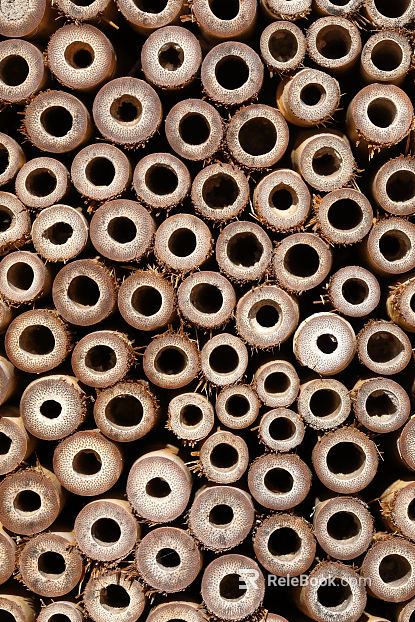 Wood cut texture
