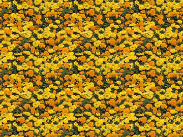Flowers texture (ID:ffagg54598)