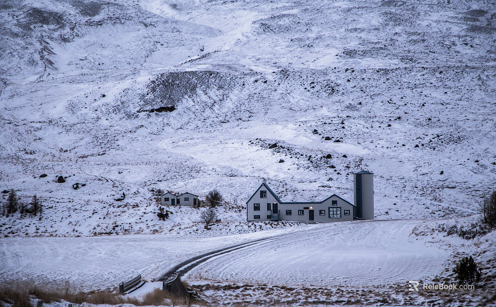 Snow texture