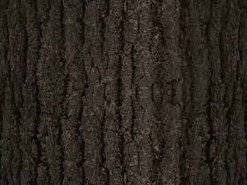 bark texture (ID:ffabg11264)