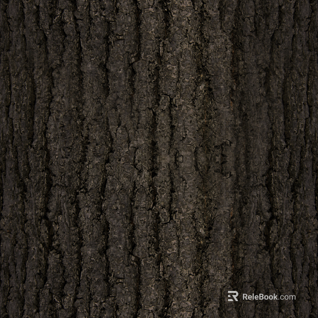 bark texture