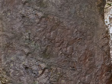 Dark gray brown rock outdoor wall 3d model