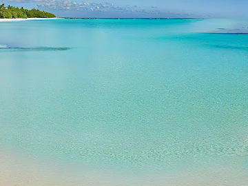 Wild Scenery texture (ID:ffach386623)