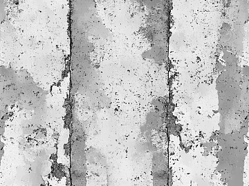 Dirt black and white texture (ID:ffach881870)