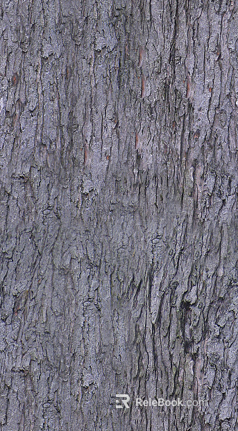 bark texture