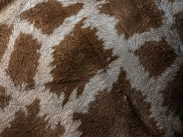 animal fur texture (ID:ffagg69653)