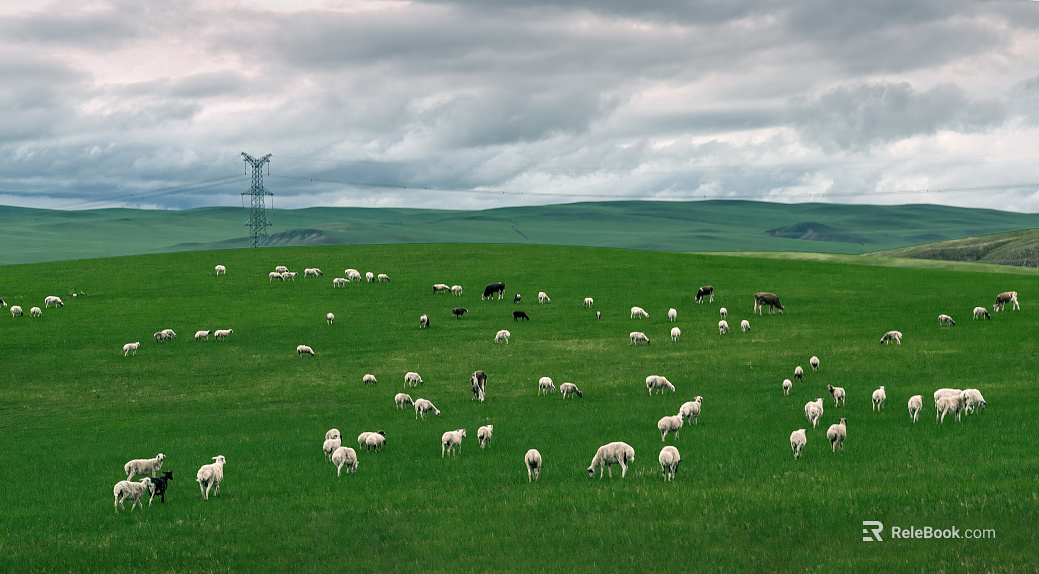 Scenery of Sheep in Inner Mongolia Grassland texture