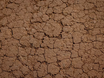 Mud texture (ID:ffagg60633)