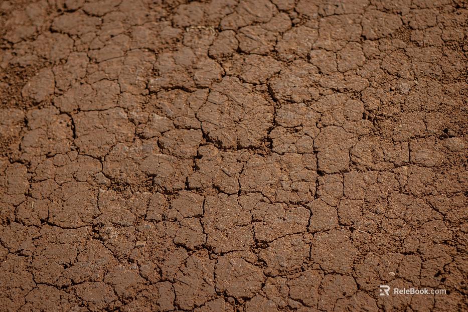 Mud texture