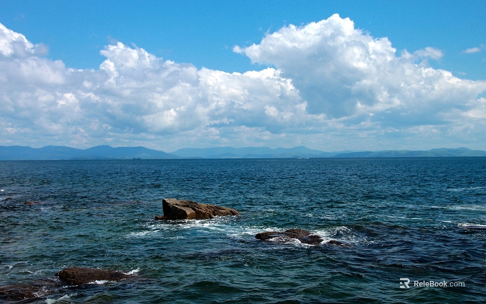 Sea texture