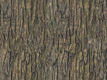bark texture (ID:ffaag72012)