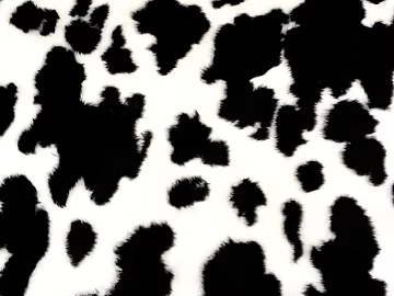 Cow Stripe Cow Stripe texture (ID:ffach726078)