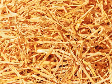 Thatch texture (ID:ffaag86807)