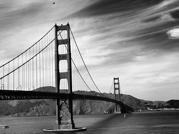 black and white painting texture (ID:ffajg17732)