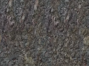 bark texture (ID:ffajg25514)