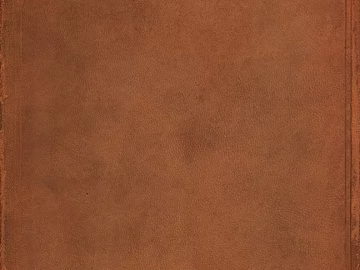 Leather texture (ID:ffaeg64911)