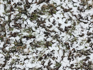 Ground-Snow texture (ID:ffhee958)