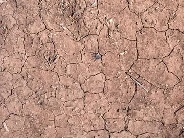 Mud texture (ID:ffach192061)