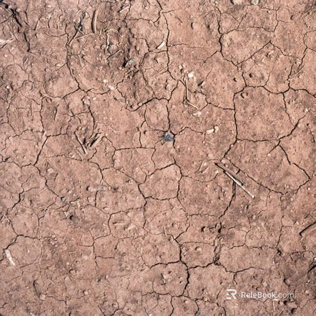Mud texture
