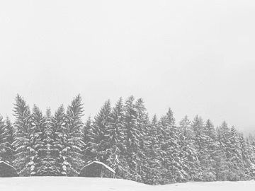 plant pattern texture (ID:ffaeg83539)