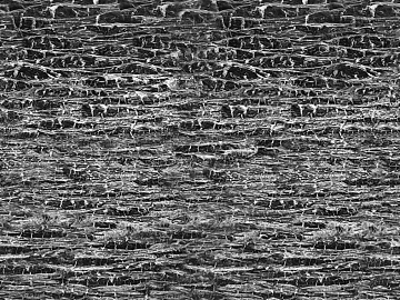 Black and White Bump texture (ID:ffadf6767)