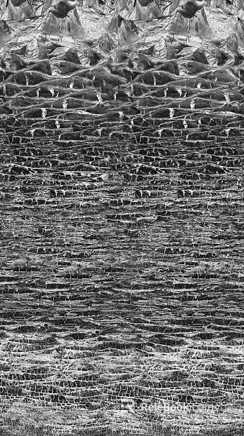 Black and White Bump texture