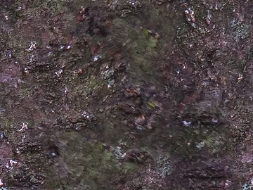 Dark brown with moss bark natural decoration texture (ID:ffaeh297332)