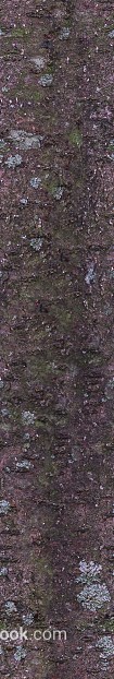 Dark brown with moss bark natural decoration texture