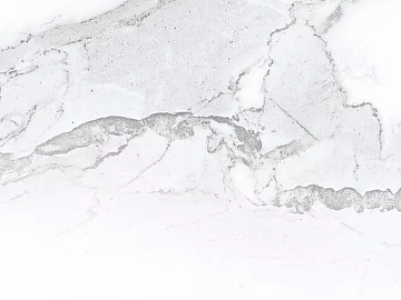 Marble texture (ID:ffajg43212)