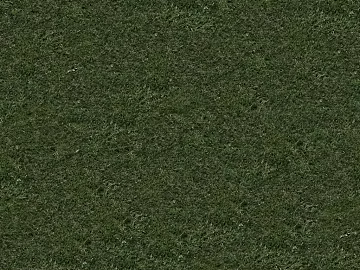 Turf texture (ID:ffagg44208)