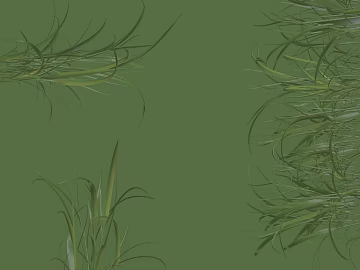 Plants texture (ID:ffajg90022)