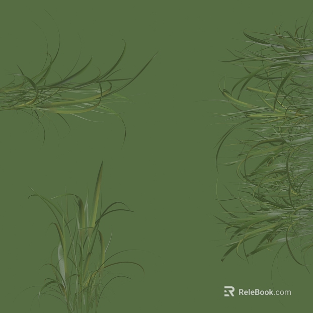 Plants texture