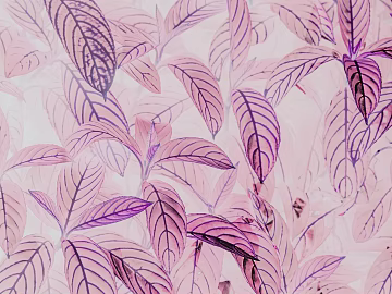 Pattern Wallpaper texture (ID:ffagg04325)