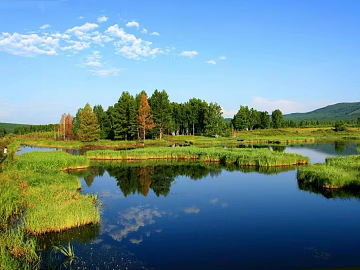 Wild Scenery texture (ID:ffaeg64743)