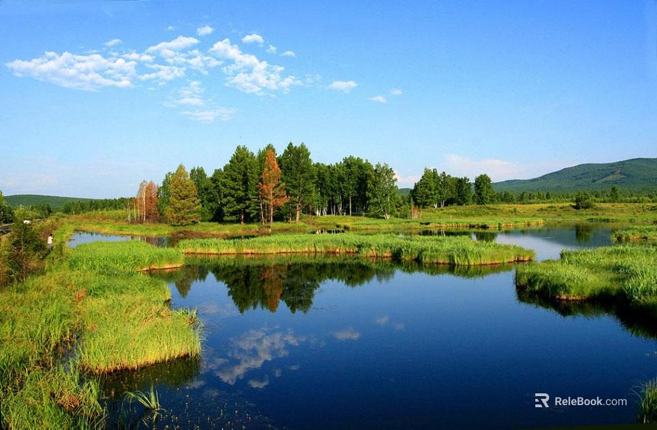 Wild Scenery texture
