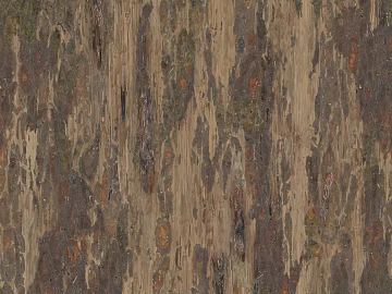 bark texture (ID:ffach921526)