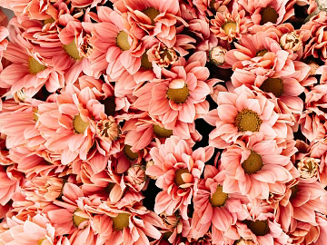 Flowers texture (ID:ffagg23318)
