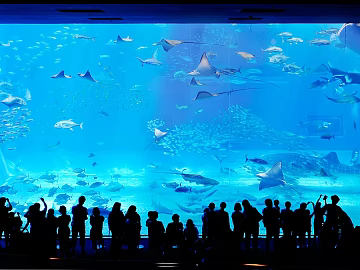 Fish tank texture (ID:ffabg33590)