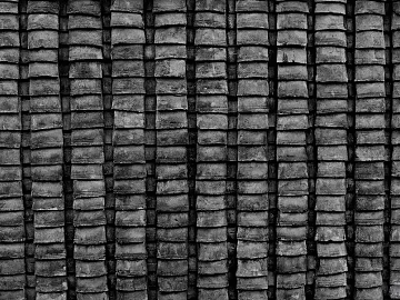 Black and White Bump texture (ID:ffabg50172)