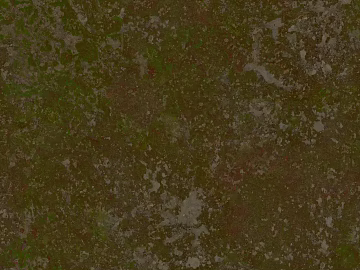 grassland soil wetland ground texture (ID:ffach312716)