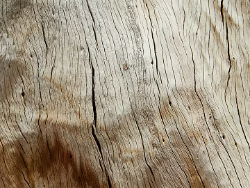 Wood grain texture (ID:ffagg56293)