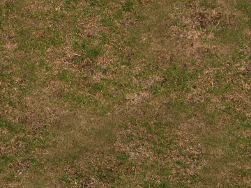 Turf texture (ID:ffabg92328)