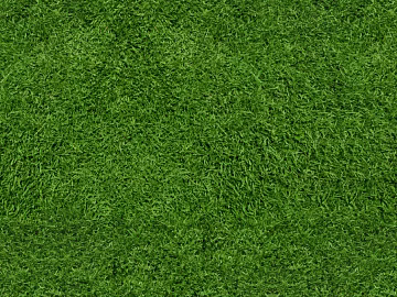 Turf texture (ID:ffacg29626)