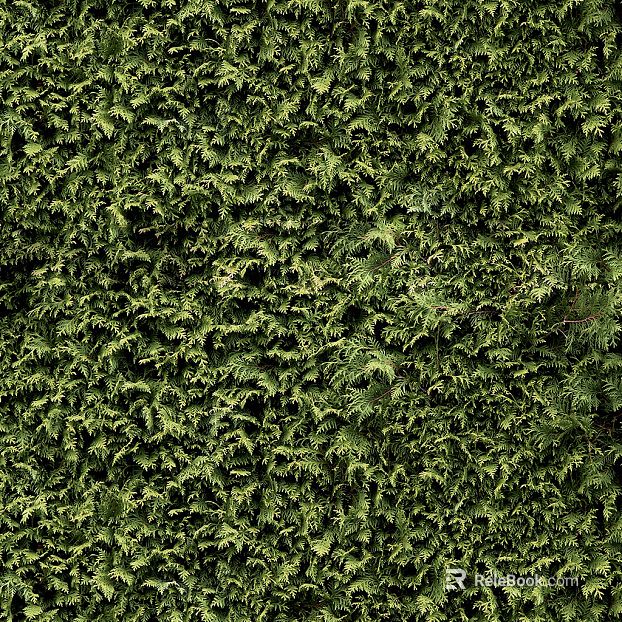Plants texture