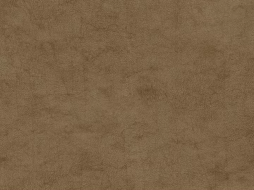 fine grain leather texture (ID:ffagg88216)