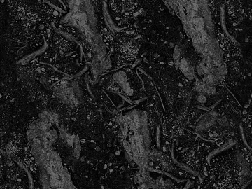 Ground black and white map texture (ID:ffhee686)