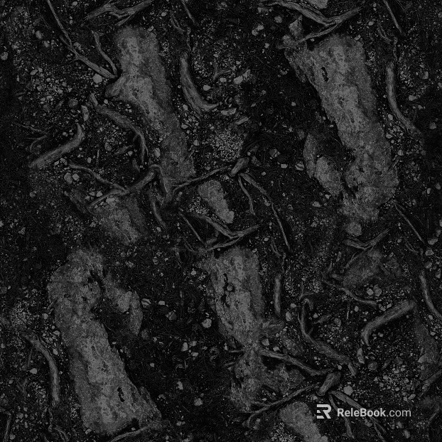 Ground black and white map texture