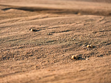 Sand texture (ID:ffabg00897)