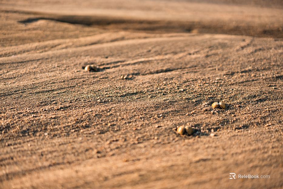 Sand texture